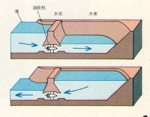 （图）潮汐发电原理图